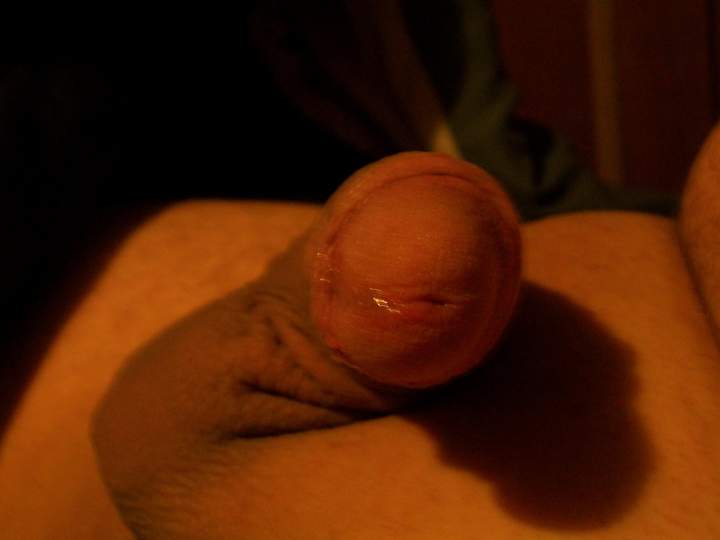 Adult image from avgcock