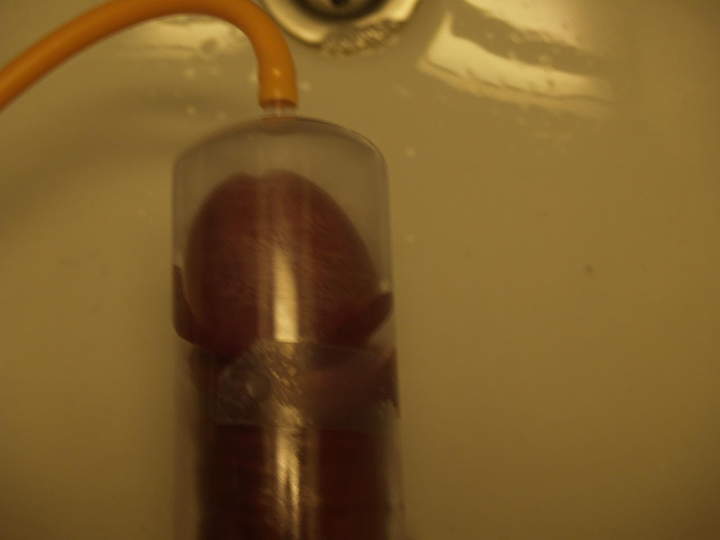 Adult image from padda