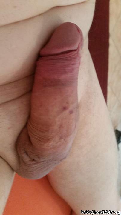 Adult image from Pit66
