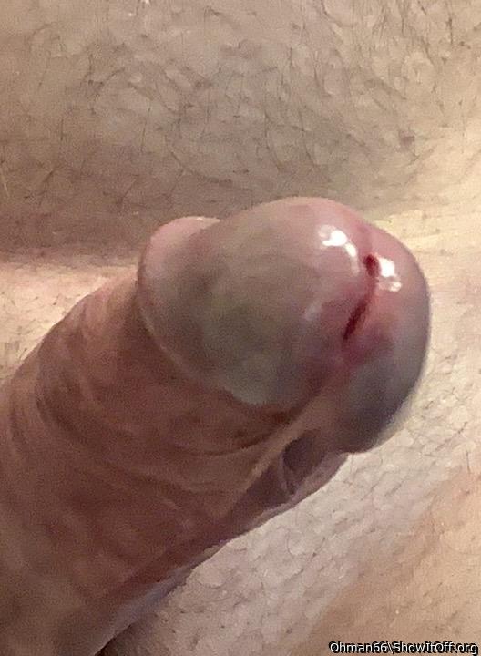 Horny cock