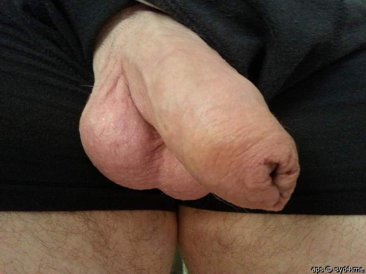 Adult image from Aps