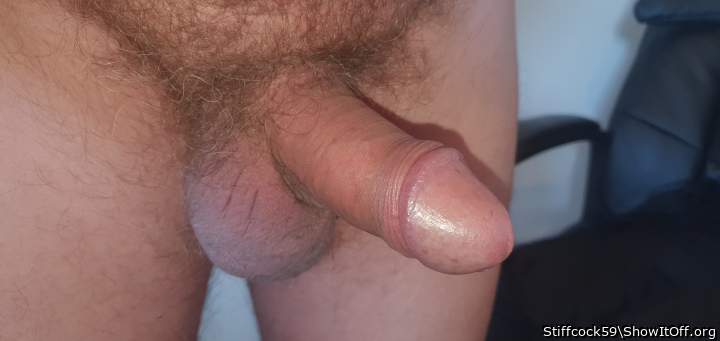 Adult image from Stiffcock59