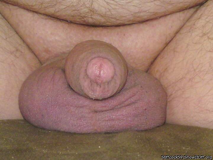 Adult image from Stiffcock59