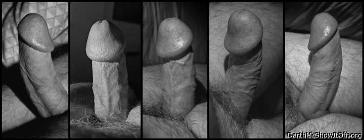 Morning wood landscape #B&W