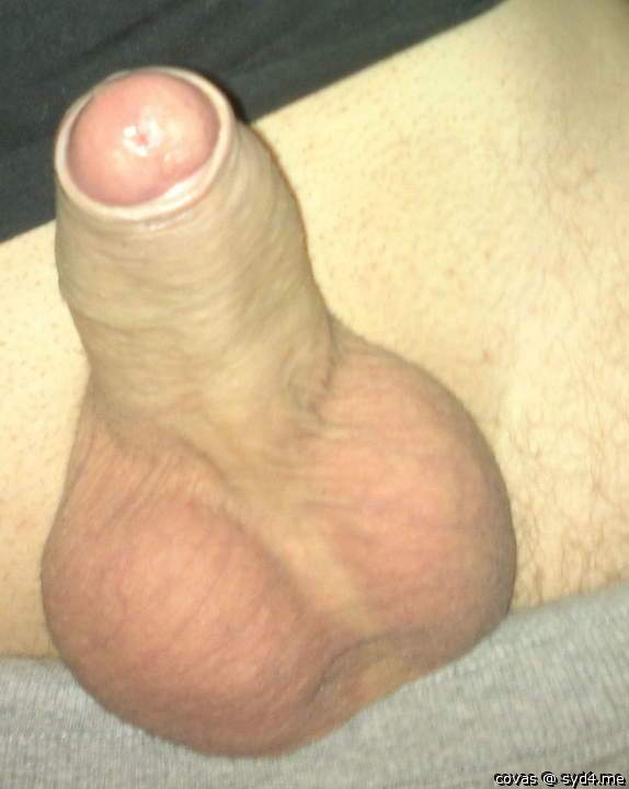 Adult image from covas