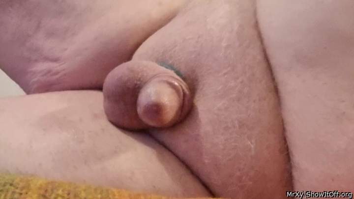 My little friend