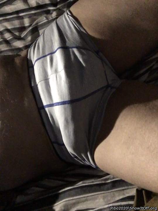 Adult image from Pibo2020