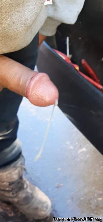 Adult image from Denpenn