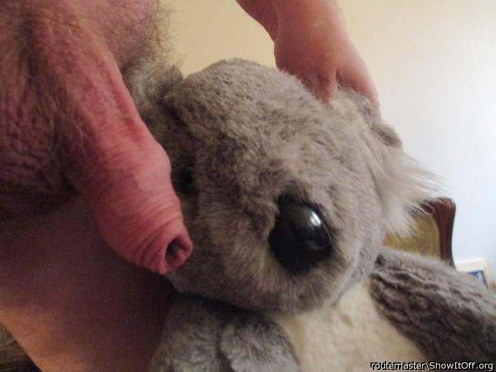 Love seeing stuffed animals enjoying a nicd cock 