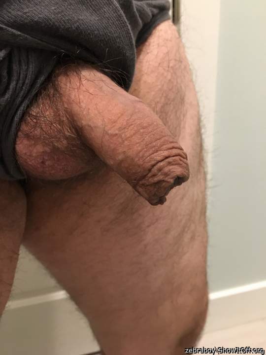 Adult image from zebraboy