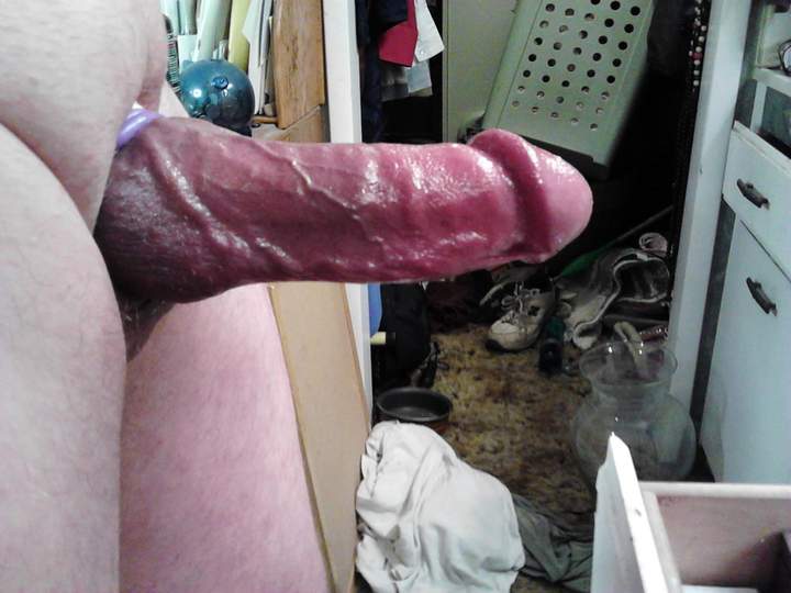 Adult image from fish4free