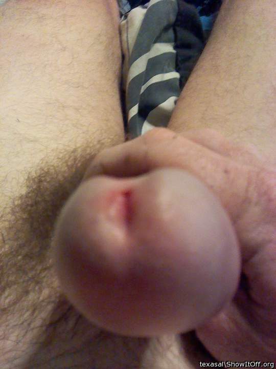 Adult image from texasal
