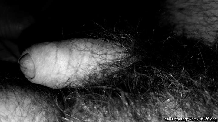 Adult image from calientearg