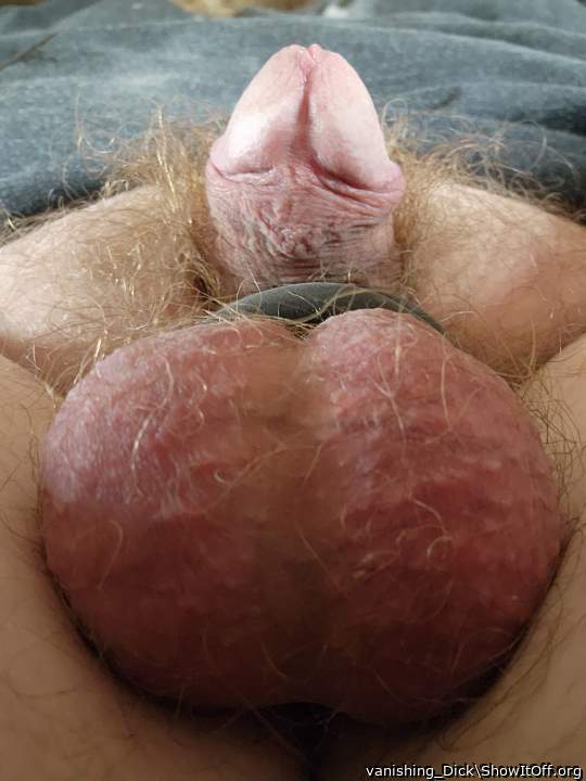 Adult image from vanishing_Dick