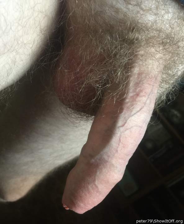Adult image from peter79