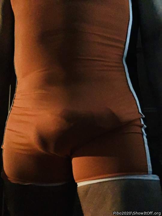 Adult image from Pibo2020