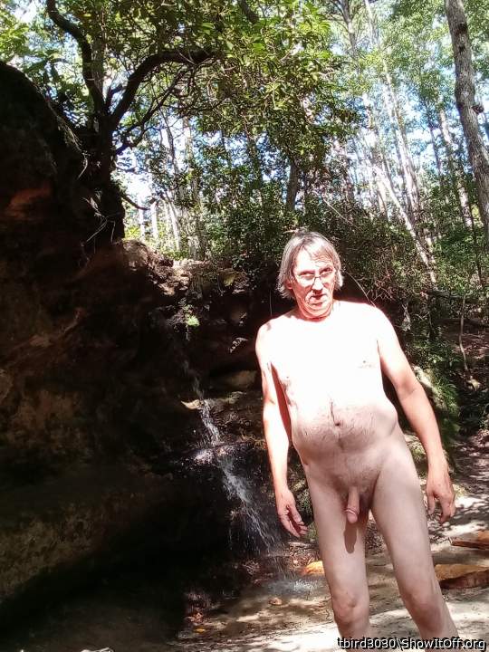 Adult image from tbird3030
