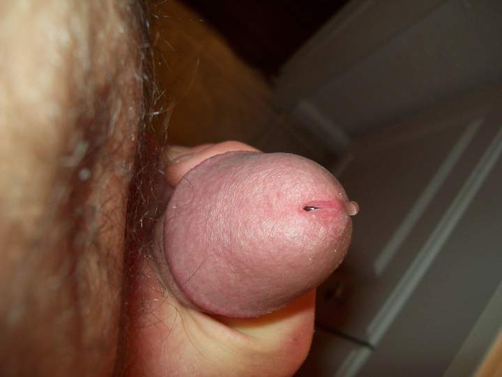 Adult image from Hornyashell