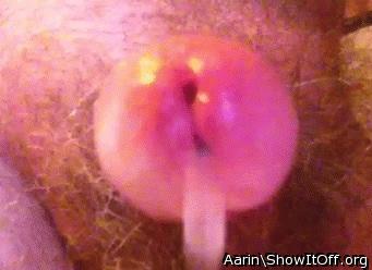 Adult image from Arinn