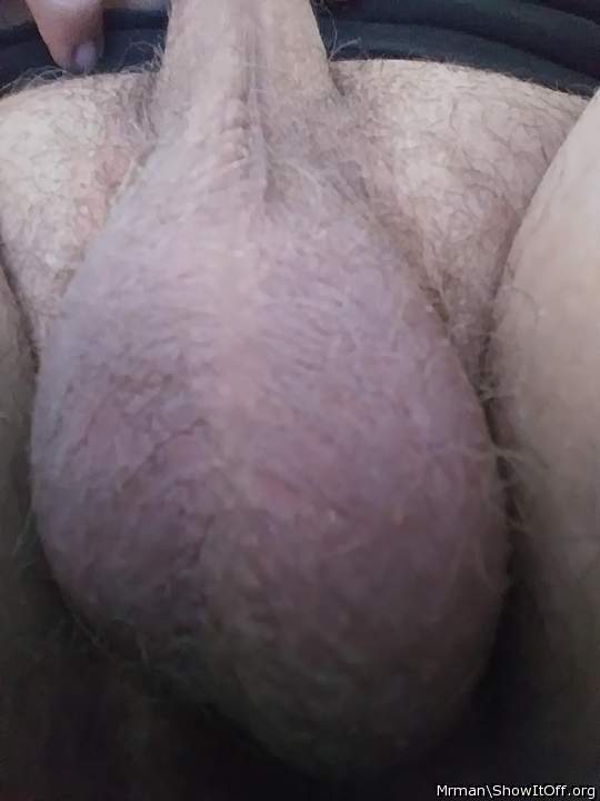 Adult image from MrMan
