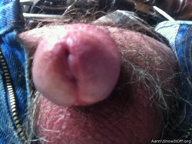 Adult image from Arinn