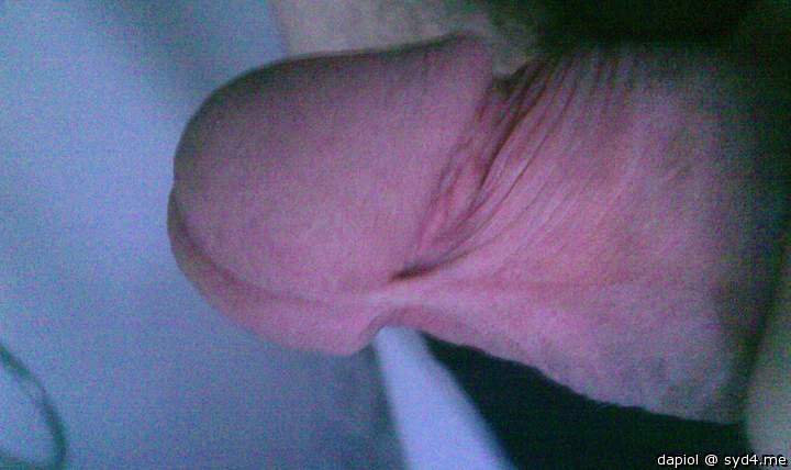 Adult image from dapiol