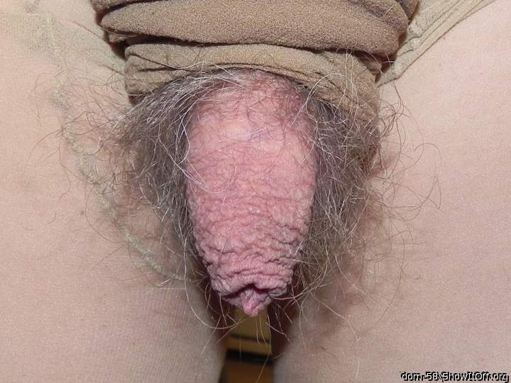 Adult image from dom-58