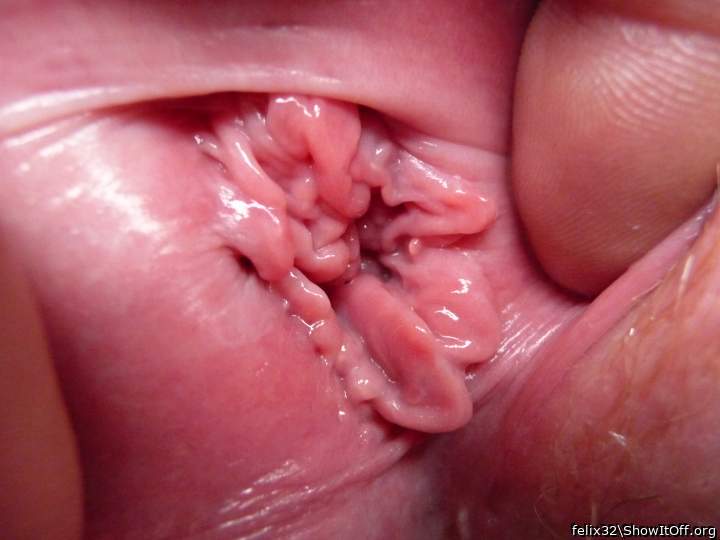 wild pussy hole