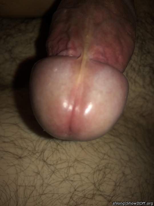 Adult image from shlong