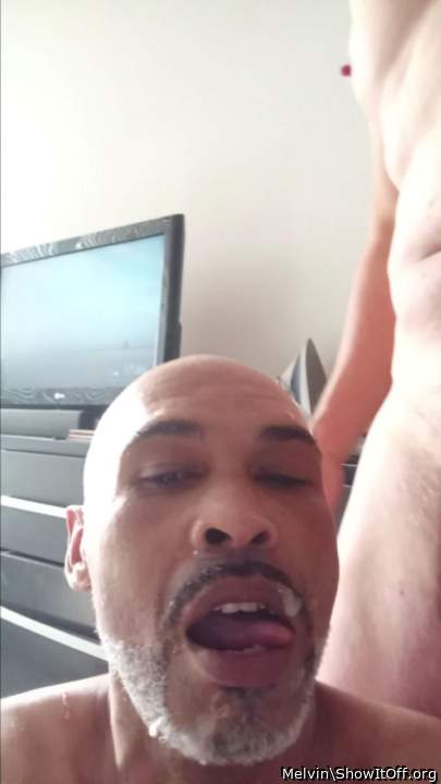 Adult image from Melvin