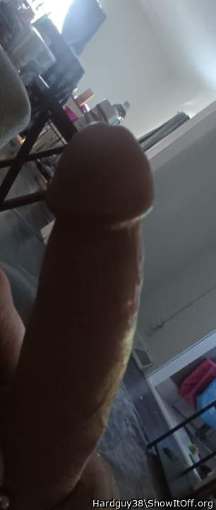 Adult image from Hardguy38
