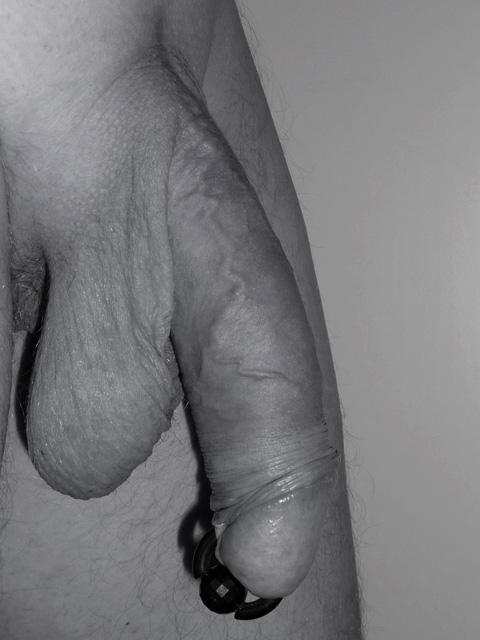 Adult image from RedShirt