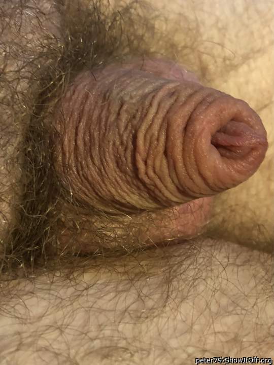 Adult image from peter79