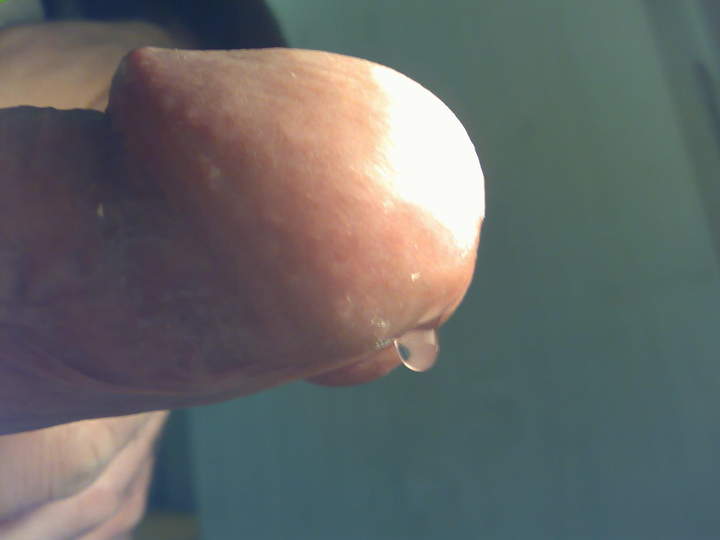 Adult image from roccotano