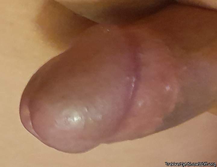 Adult image from Trekkertje