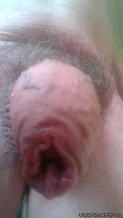Adult image from Ade59
